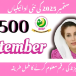 Punjab-Dhee-Rani-Program apply online 2026